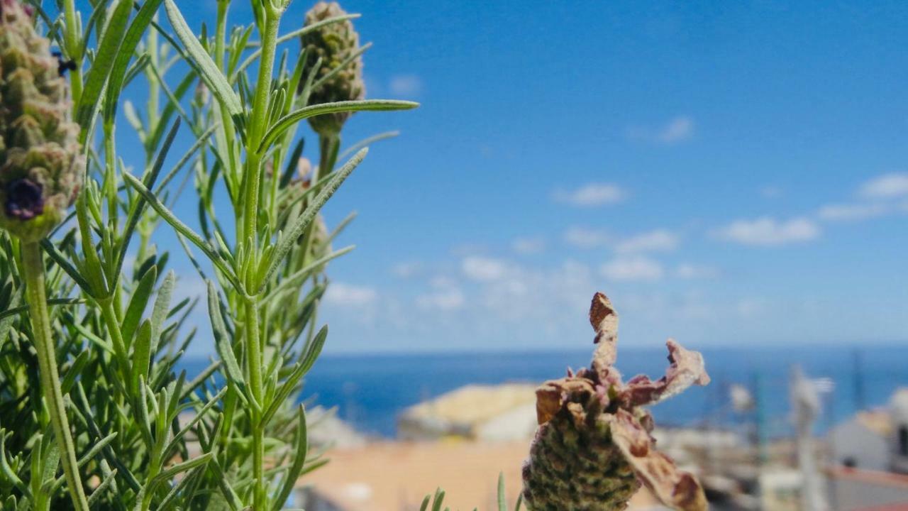 Home Holiday Sicily Isola delle Femmine Exterior foto